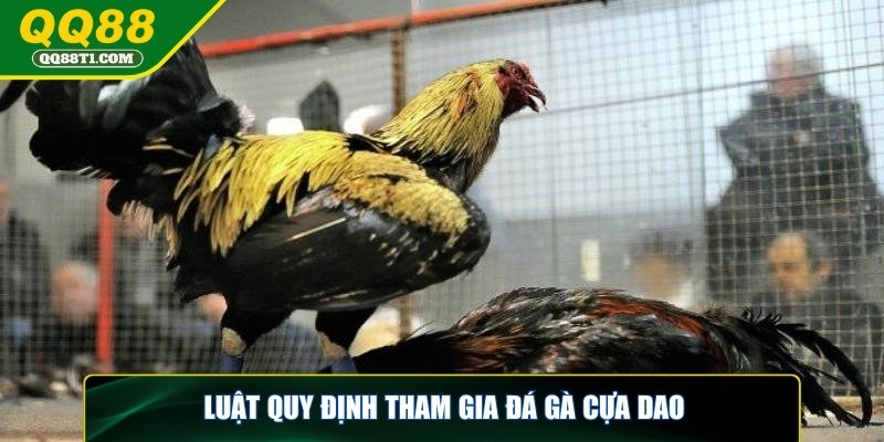 da-ga-cua-dao-luat-quy-dinh