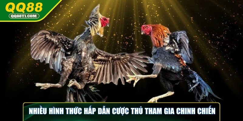 da-ga-qq88-nhieu-hinh-thuc-hap-dan