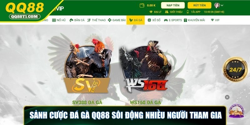 da-ga-qq88-soi-dong-voi-nhieu-nguoi-tham-gia