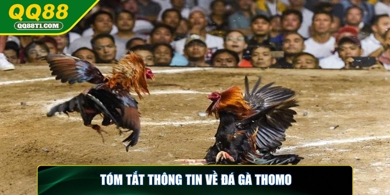 da-ga-thomo-tom-tat-thong-tin