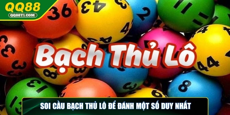soi-cau-bach-thu-lo-duy-nhat