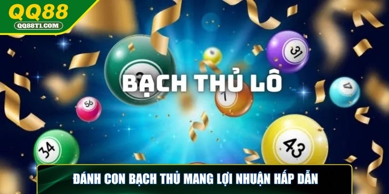 soi-cau-bach-thu-lo-loi-nhuan