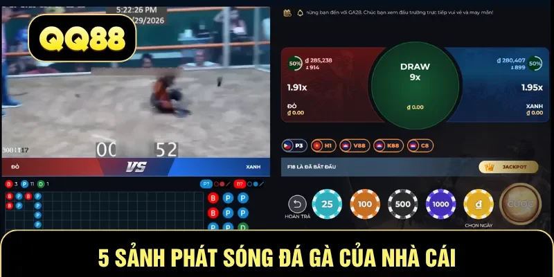 5 sảnh phát sóng đá gà của nhà cái