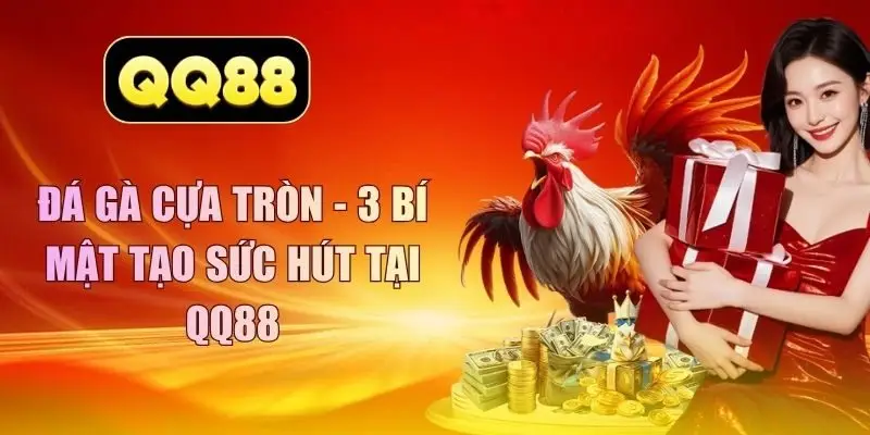 đá gà cựa tròn