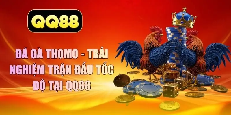 đá gà thomo