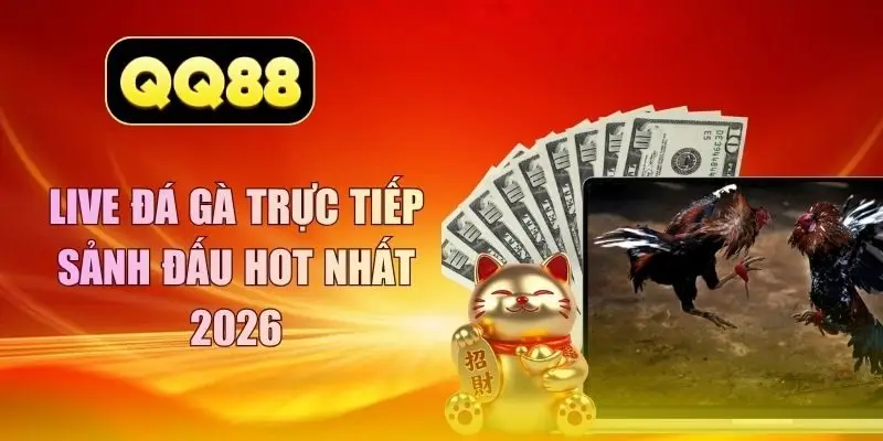live đá gà trực tiếp