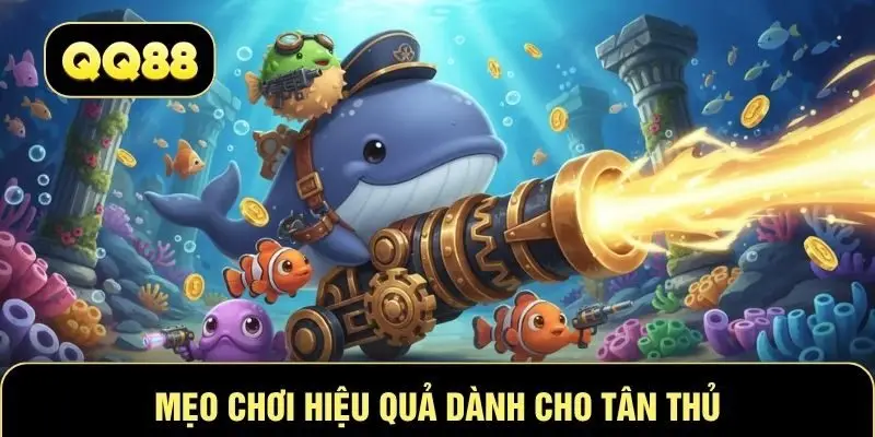 Mẹo chơi hiệu quả dành cho tân thủ