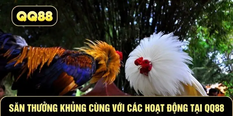 Săn thưởng khủng cùng với các hoạt động tại QQ88