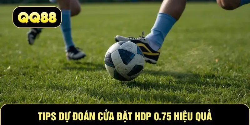 Tips dự đoán cửa đặt HDP ¾ hiệu quả